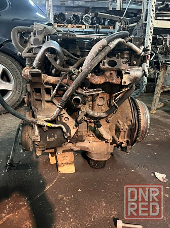 Двигатель Nissan Navara D40 YD25DDTI 2007 Донецк - изображение 2