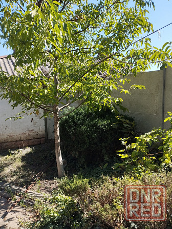 продам квартиру на земле Донецк - изображение 3