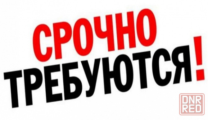 Водители на газель Донецк - изображение 1