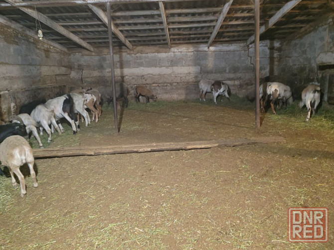 Продам Донецк - изображение 5