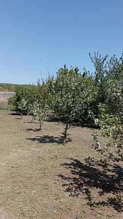 Дом возле Донецкого моря. Донецк