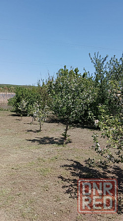 Дом возле Донецкого моря. Донецк - изображение 3