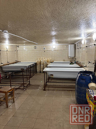 Макеевка Маяк Дом + рыбный бизнес 6 млн Макеевка - изображение 9