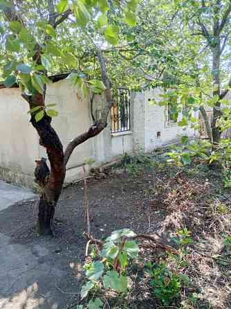 продам дом в Буденновском р-не Донецка на больнице энергетиков Донецк