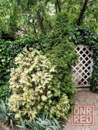 Срочно продается 2 дома на земельном участке в Кировском районе Донецк - изображение 5