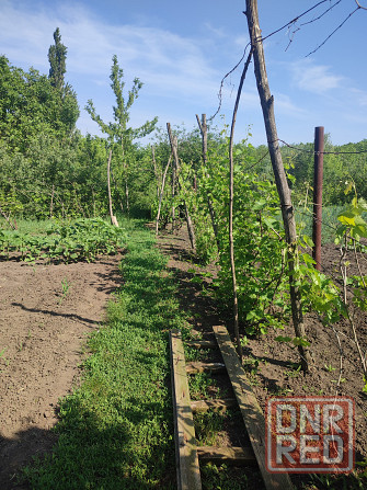 Продам дом в с. Свободное Волноваха - изображение 11