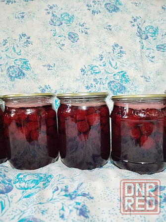 Продам виноград "Молдова" Макеевка - изображение 5