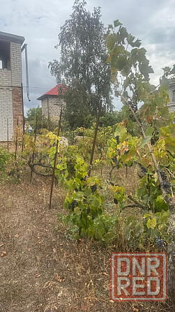 продается просторный дом в бердянском районе Бердянск - изображение 2