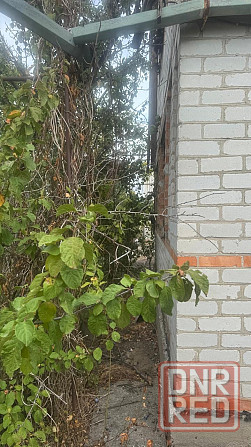 продается дача загородом Бердянска Бердянск - изображение 3