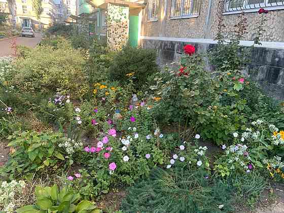 2 ком квартира 5/5 Макеевка ( Восточный центр) под ремонт Макеевка