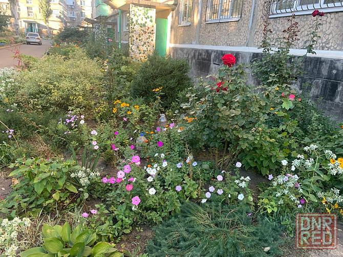 2 ком квартира 5/5 Макеевка ( Восточный центр) под ремонт Макеевка - изображение 2