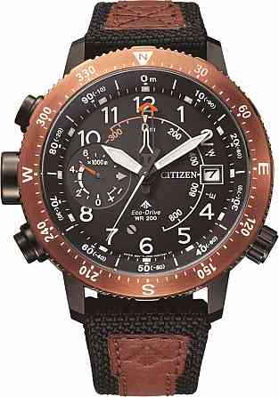 Японские наручные часы Citizen BN4049-11E Донецк