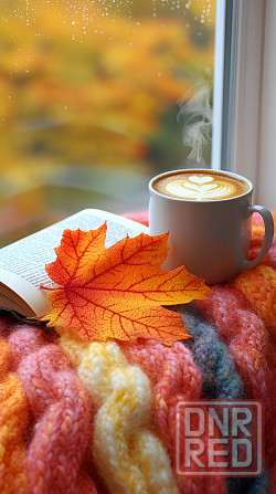 Сниму Дом либо Квартиру Донецк - изображение 1