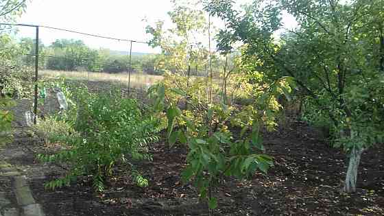 Дом в Александровке ищет хозяина! Донецк