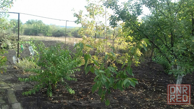 Дом в Александровке ищет хозяина! Донецк - изображение 6