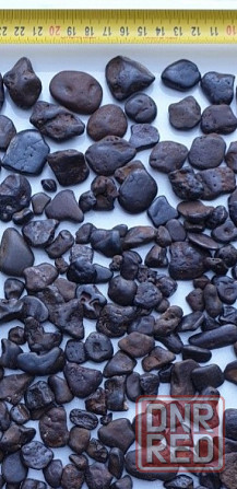 Морской камень ракушка Макеевка - изображение 8