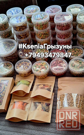 Сирийский хомячок с набором и новым домиком Донецк - изображение 3