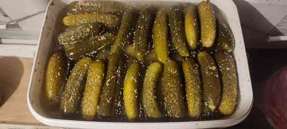 Домашняя закупорка Донецк