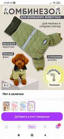 Комбинезон для собачки Донецк