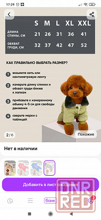 Комбинезон для собачки Донецк - изображение 4