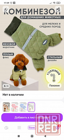 Комбинезон для собачки Донецк - изображение 3