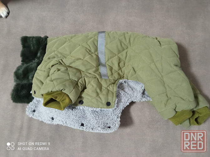 Комбинезон для собачки Донецк - изображение 8