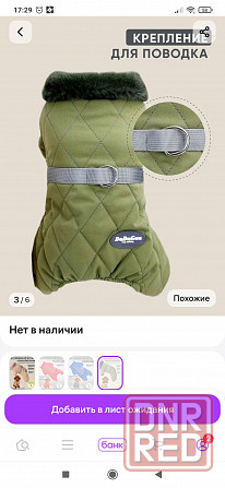 Комбинезон для собачки Донецк - изображение 2