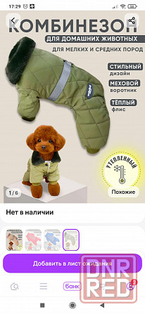 Комбинезон для собачки Донецк - изображение 1