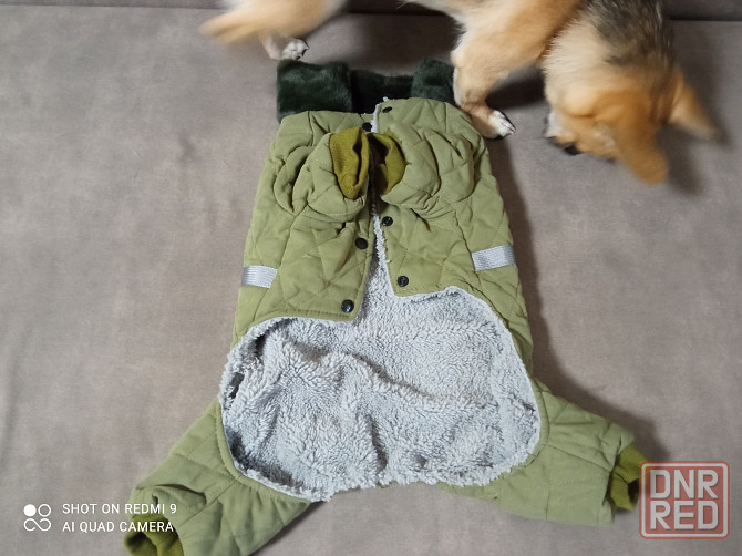 Комбинезон для собачки Донецк - изображение 6