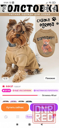 Кофточка для собачки Донецк - изображение 1