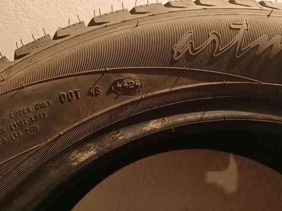 Белшина зимние нешипованные Макеевка