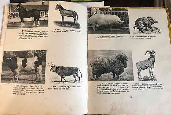 Винтажная книга письма деда Егора внуку Павлику 1958 год Макеевка
