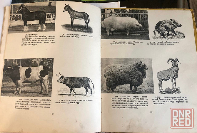 Винтажная книга письма деда Егора внуку Павлику 1958 год Макеевка - изображение 4