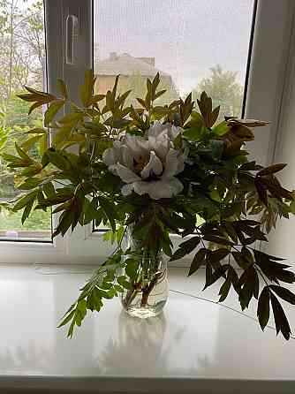 3 ком. Буденновский р-н, горячая/холодная вода круглосуточно, автономное отопление, парковка Донецк