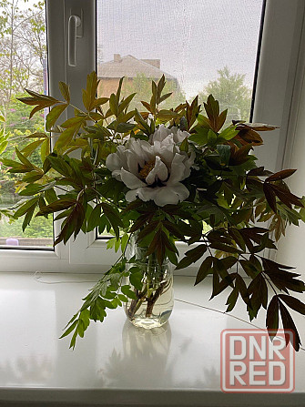 3 ком. Буденновский р-н, горячая/холодная вода круглосуточно, автономное отопление, парковка Донецк - изображение 4