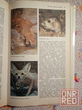 Природа мира - Пустыни Донецк - изображение 6