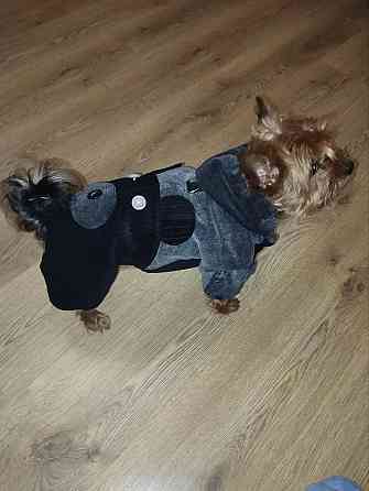 Комбинезон вельветовый для собак Донецк