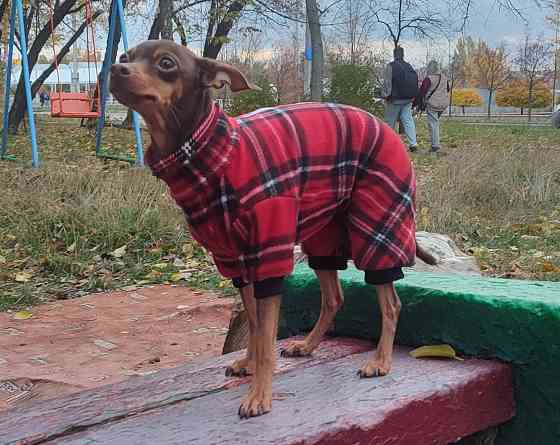 Комбинезон вельветовый для собак Донецк