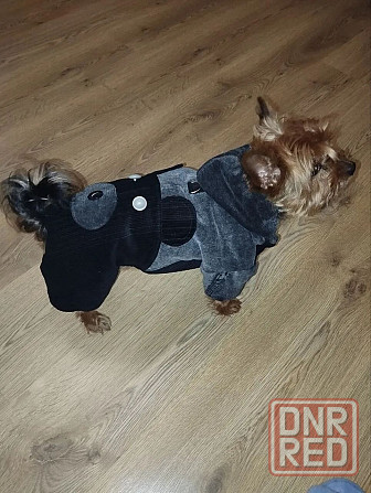 Комбинезон вельветовый для собак Донецк - изображение 2
