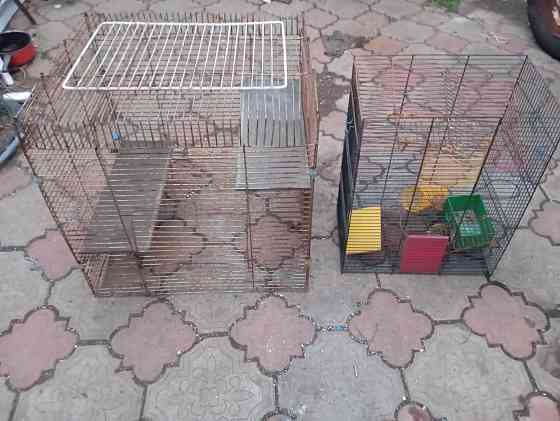 Клетки Донецк