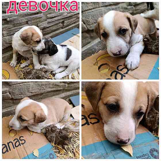 Очень нужен дом Донецк