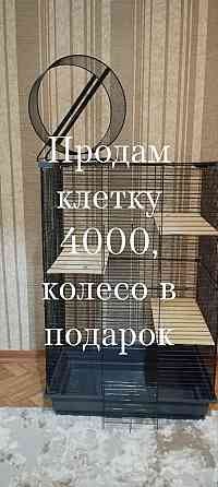 Клетка Горловка