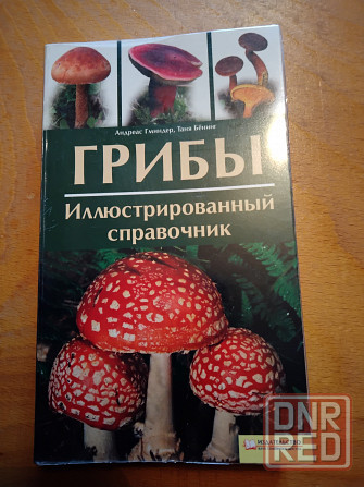 Грибы, иллюстрированный справочник-определитель, 1264 фото и иллюстраций. Макеевка - изображение 3