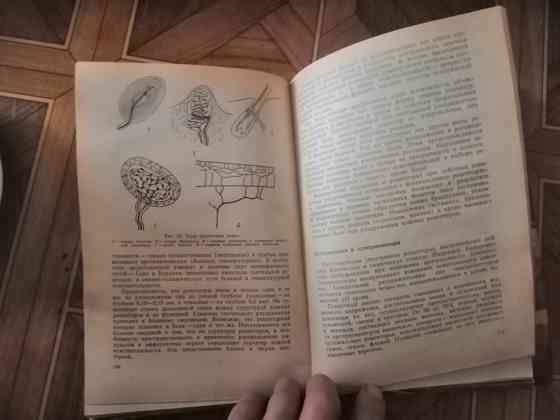 Книга н. Фомин "физиология человека" Донецк