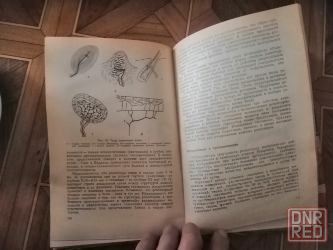 Книга н. Фомин "физиология человека" Донецк - изображение 2