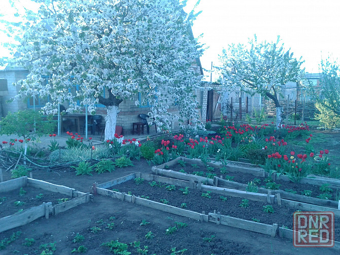 Продам дачу Бердянск - изображение 12