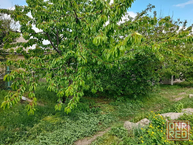 Продам дом в пролетарском районе, ул Можайского Донецк - изображение 7