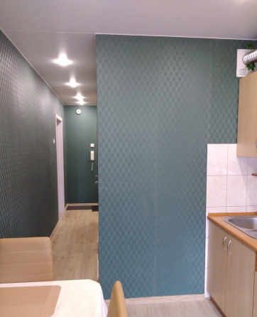 Крупногабаритная 1к в аренду в Киевском районе Донецк