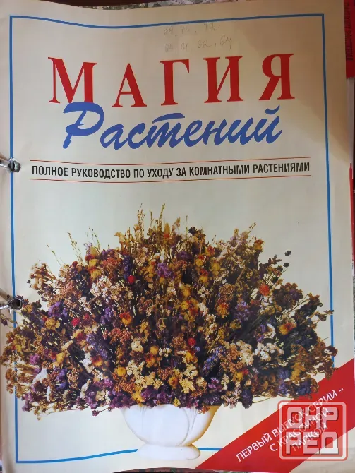 Ikea/makita/baunaus/мебель/комнатные растения Донецк - изображение 7