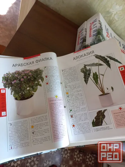 Ikea/makita/baunaus/мебель/комнатные растения Донецк - изображение 8